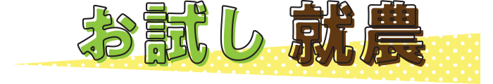 お試し就農