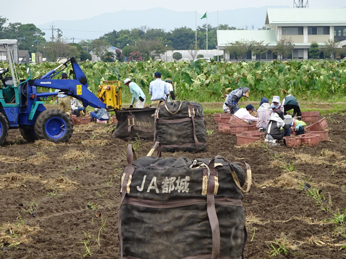 都城地域の取り組み