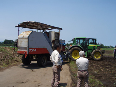 株式会社アグリパートナー宮崎　加工用馬鈴薯の収穫作業