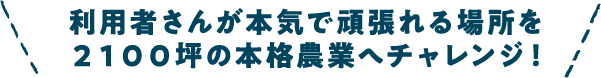 利用者さんが本気で頑張れる場所を農業へチャレンジ