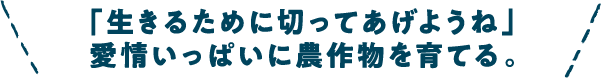 見出しcocoroファーム様